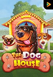 Bocoran RTP The Dog House di BENTO188 Generator RTP SLOT GACOR 4D Live Dengan Pola Akurat Dan Lengkap